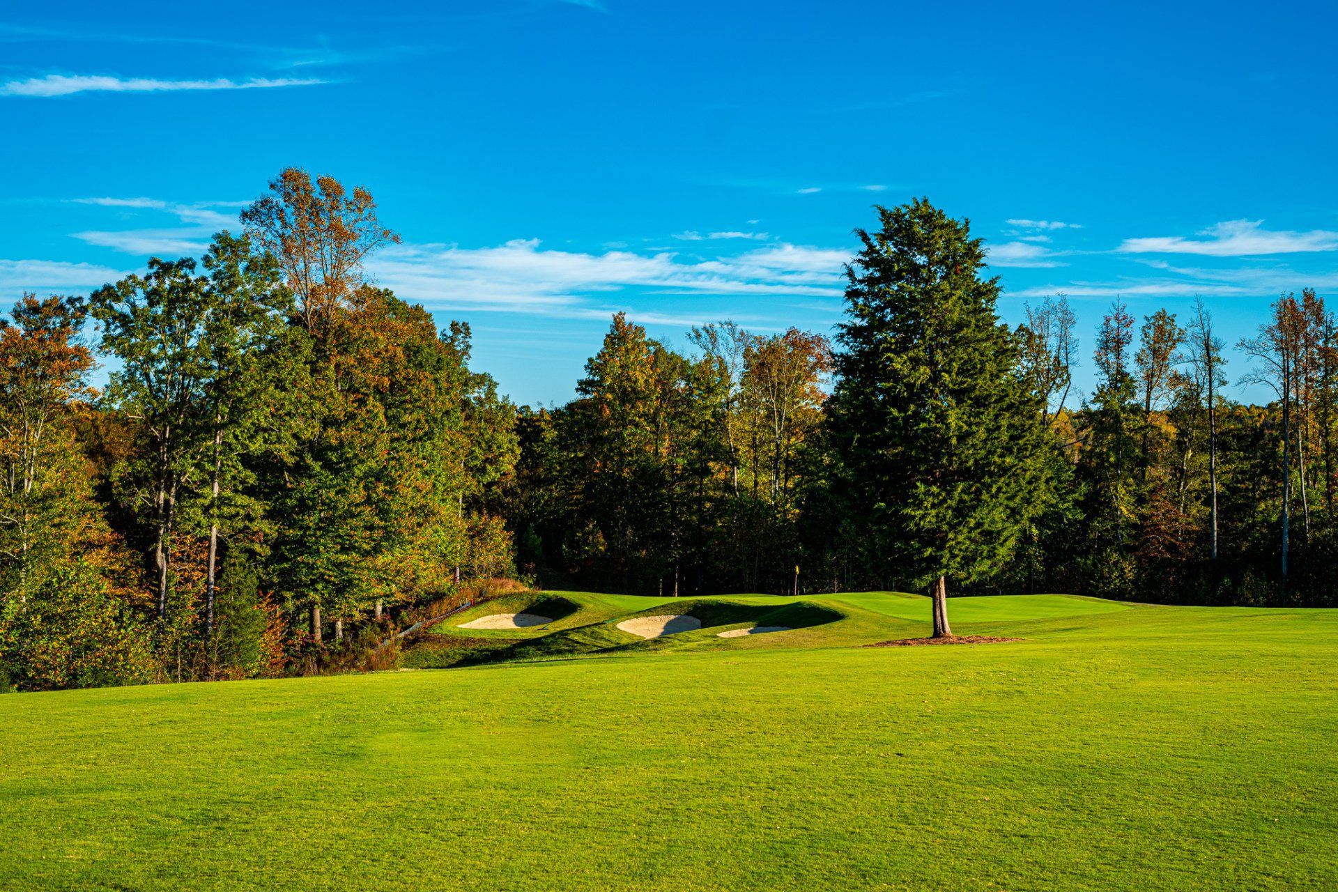 Course Info Cutalong at Lake Anna